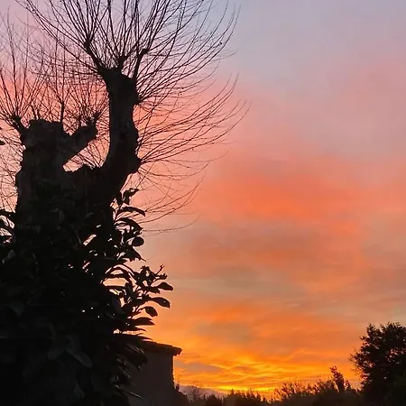 Quetzal, Clim, Jardin Et Parking * Perpignan