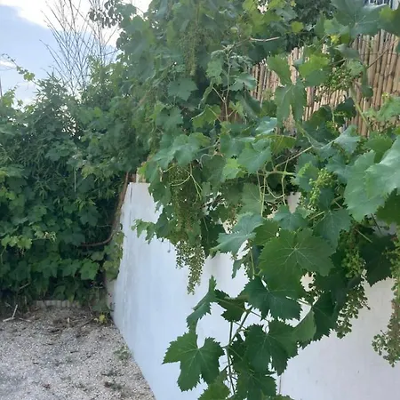 Quetzal, Clim, Jardin Et Parking Perpignan