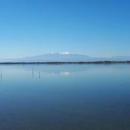 Apartment Quetzal, Clim, Jardin Et Parking Perpignan