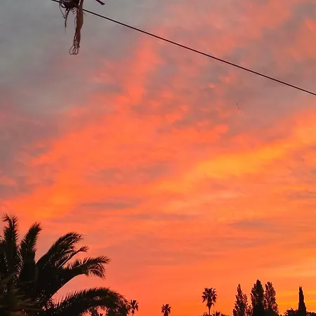 Quetzal, Clim, Jardin Et Parking Appartamento Perpignano