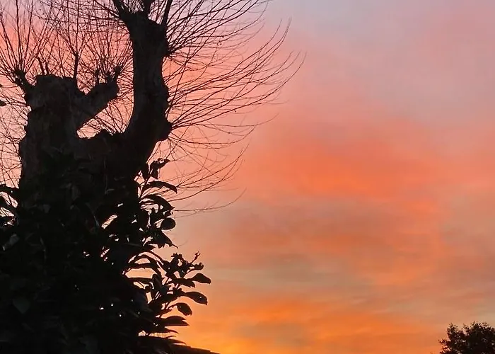 Quetzal, Clim, Jardin Et Parking * Perpignan