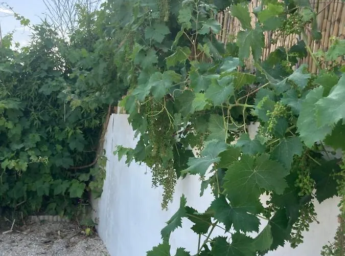 Quetzal, Clim, Jardin Et Parking Perpignan