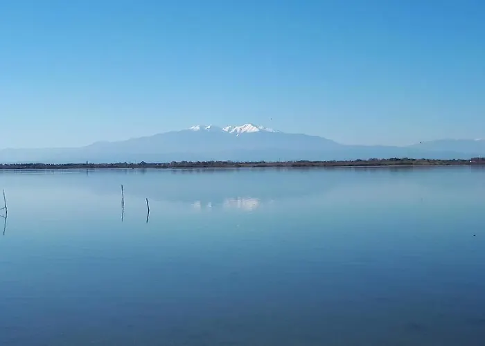 Appartement Quetzal, Clim, Jardin Et Parking Perpignan