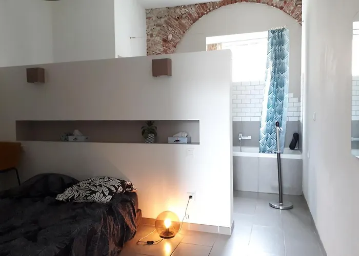 Quetzal, Clim, Jardin Et Parking Appartement