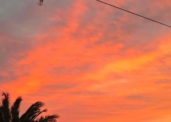 Quetzal, Clim, Jardin Et Parking Appartamento Perpignano