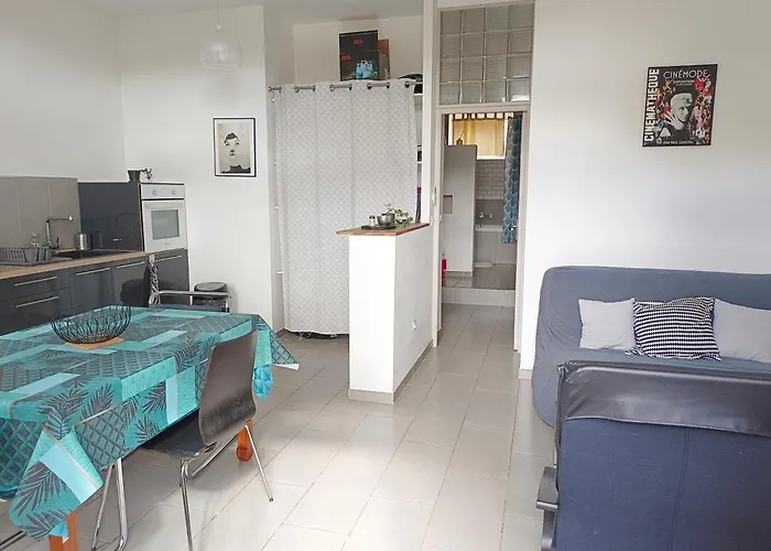 Appartement Quetzal, Clim, Jardin Et Parking Perpignan