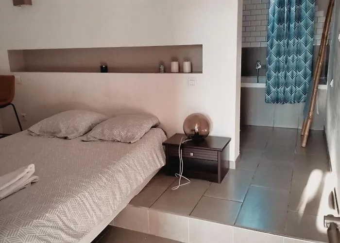 Quetzal, Clim, Jardin Et Parking Appartement *